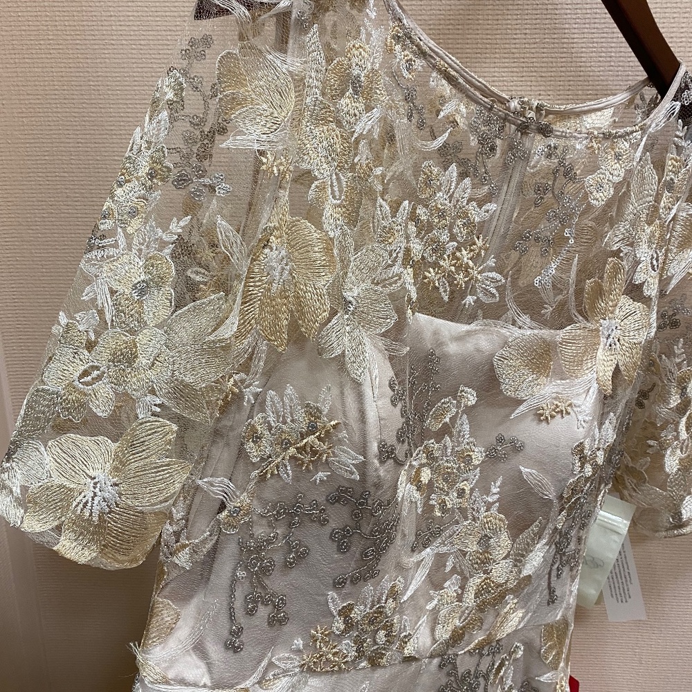 Mother of the bride dress